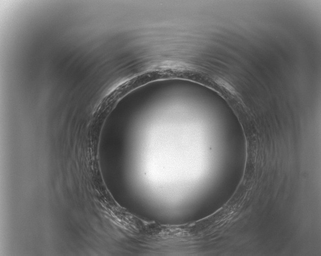 X0000060231112200510311540