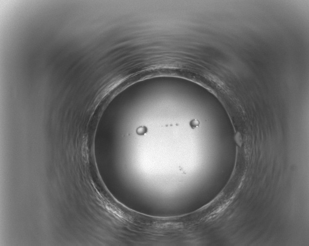 X0000060231113200510311540