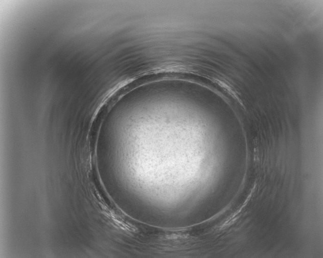 X0000060231117200510311540