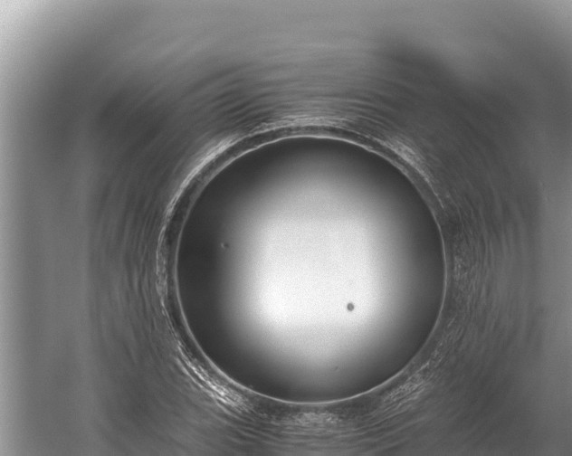 X0000060231119200510311540