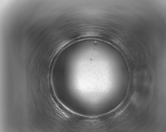 X0000060231121200510311540