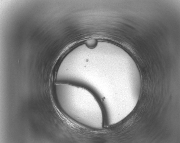 X0000060231126200510311540