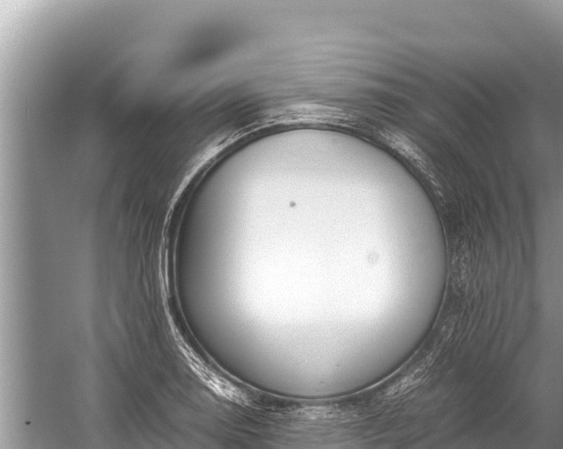 X0000060231130200510311540