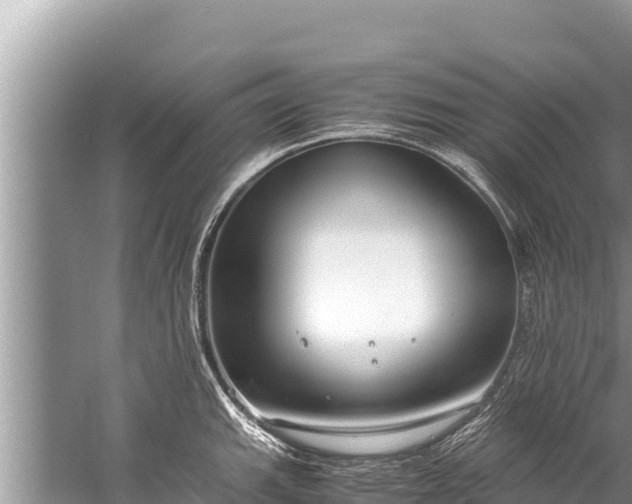 X0000060231143200510311541