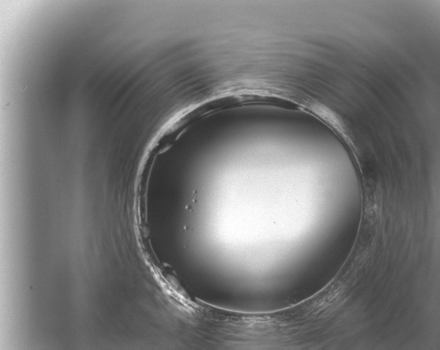 X0000060231144200510311541