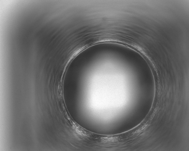 X0000060231145200510311541