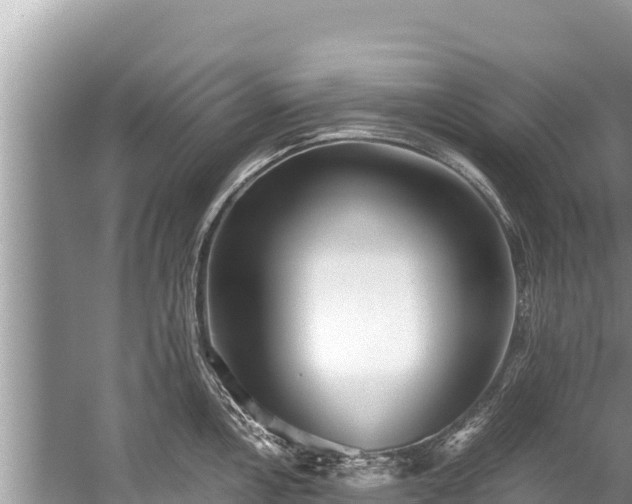 X0000060231146200510311541