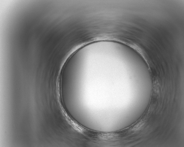 X0000060231150200510311541