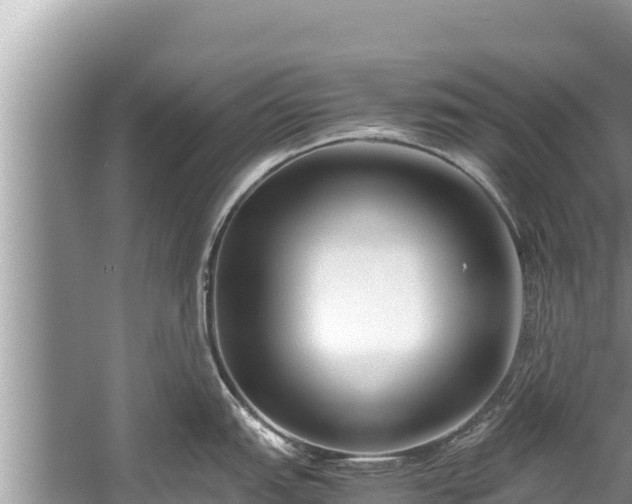 X0000060231151200510311541