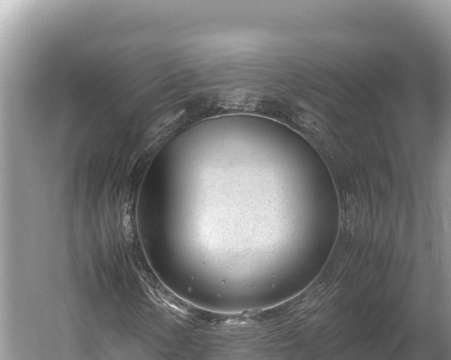 X0000060231154200510311540