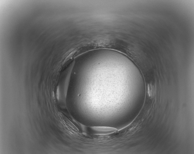 X0000060231155200510311540