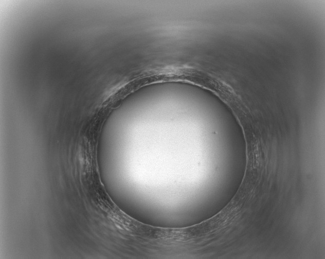 X0000060231158200510311540