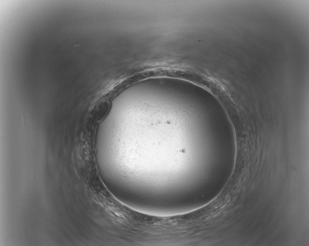 X0000060231159200510311540