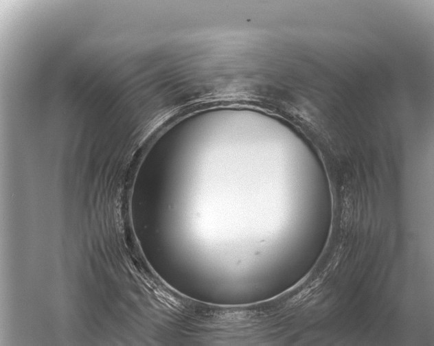 X0000060231162200510311540