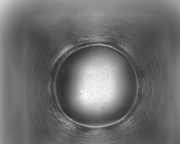 X0000060231163200510311540