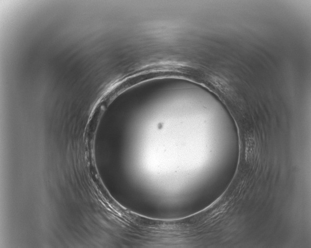 X0000060231164200510311540