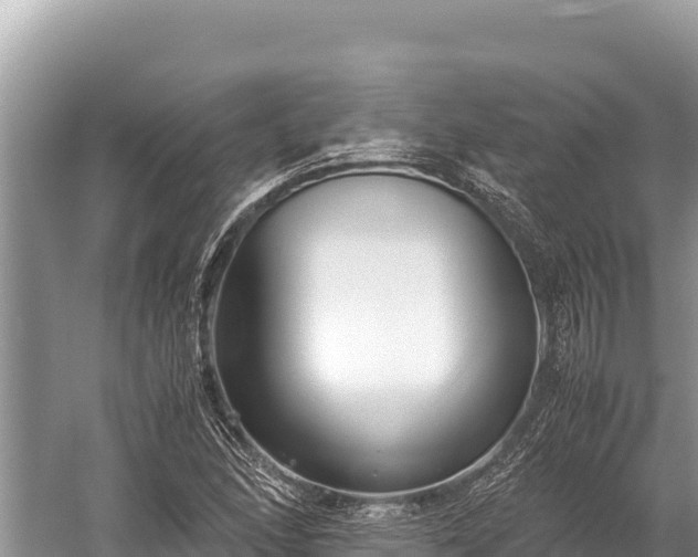 X0000060231166200510311540