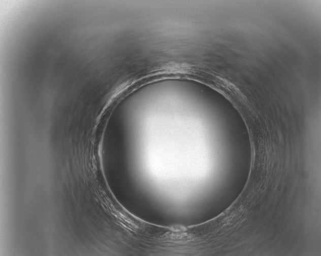 X0000060231168200510311540