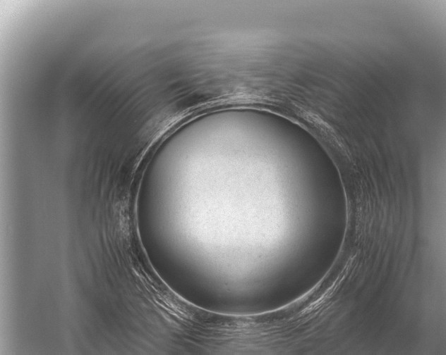 X0000060231170200510311540