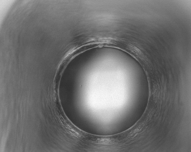 X0000060231172200510311540