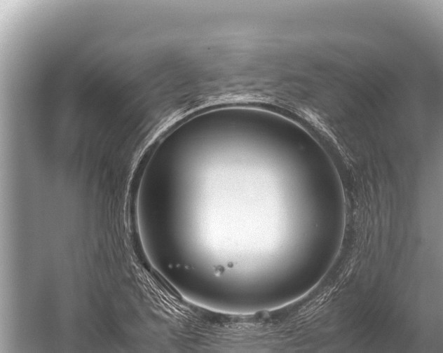 X0000060231173200510311540