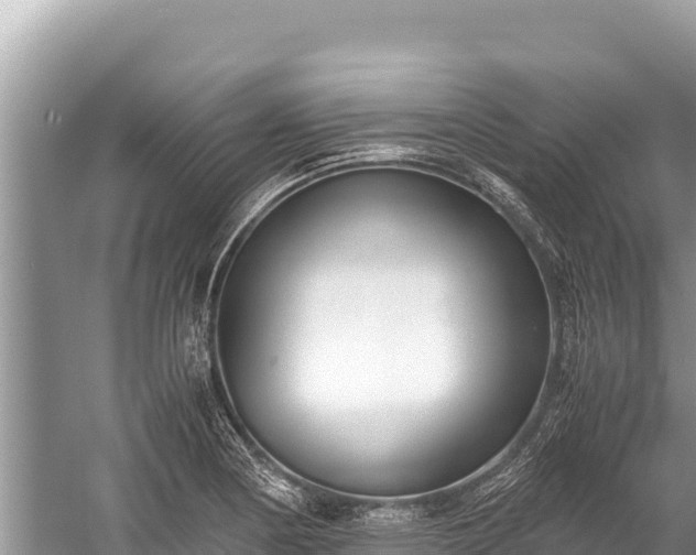 X0000060231178200510311540