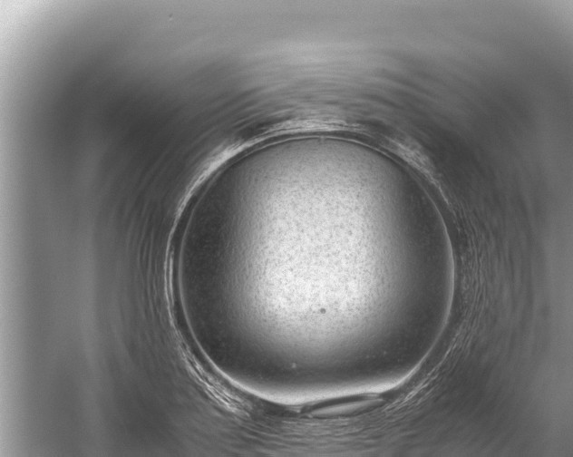 X0000060231179200510311539