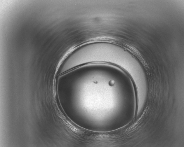 X0000060231180200510311539