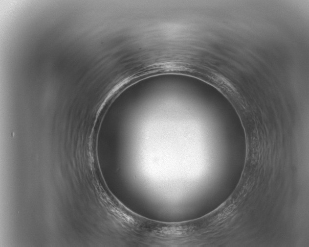 X0000060231182200510311539