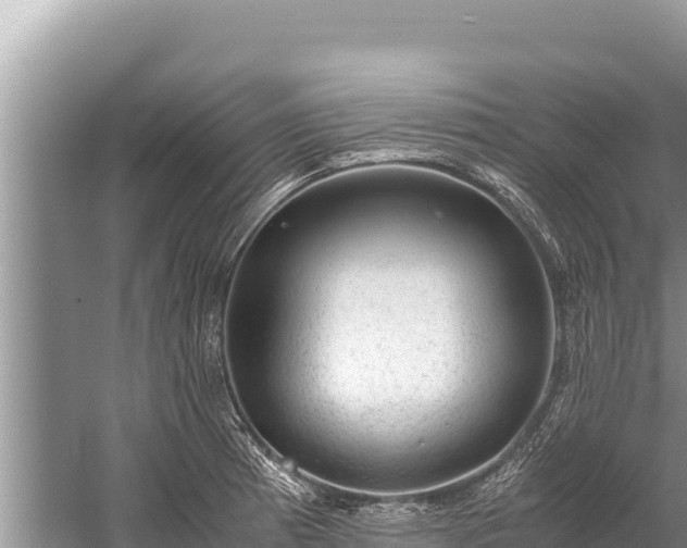 X0000060231185200510311539