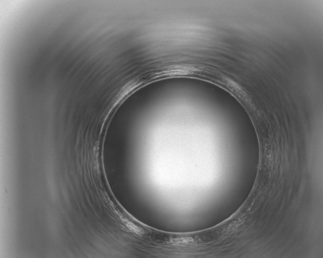 X0000060231186200510311539