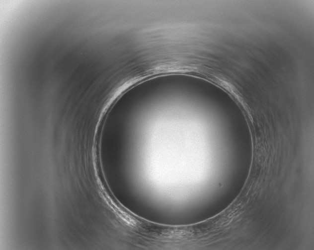 X0000060231187200510311539