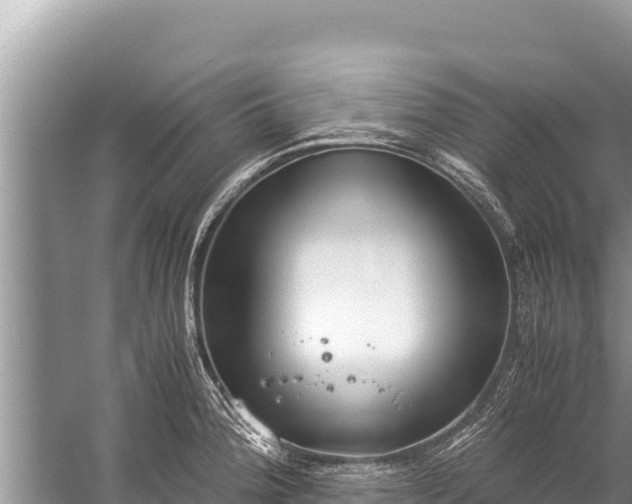 X0000060231188200510311539