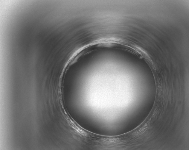 X0000060231192200510311539