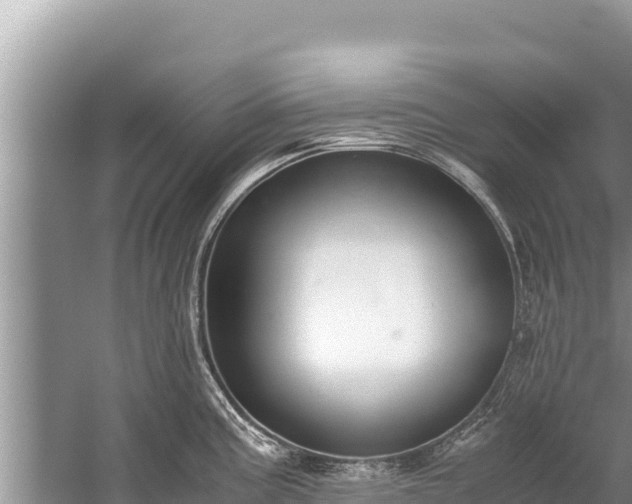 X0000060231195200510311539