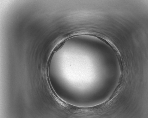 X0000060231197200510311539