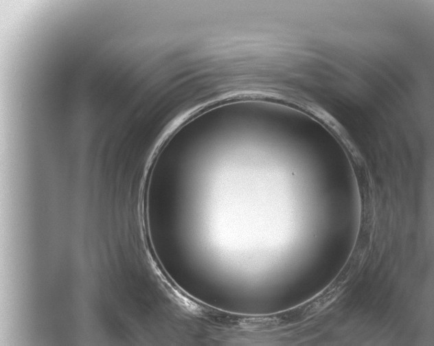 X0000060231199200510311539