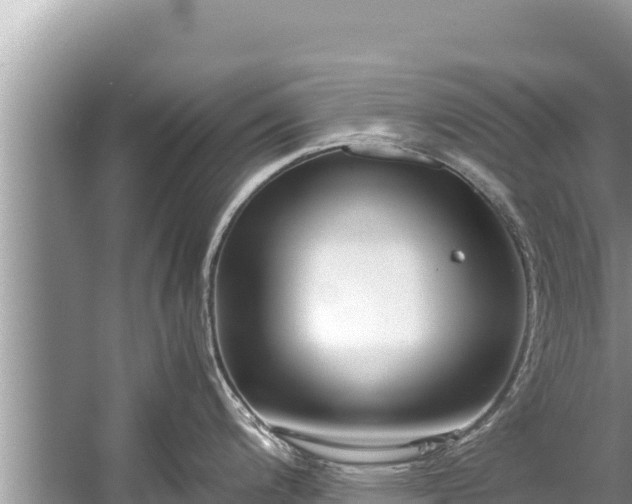 X0000060231200200510311539