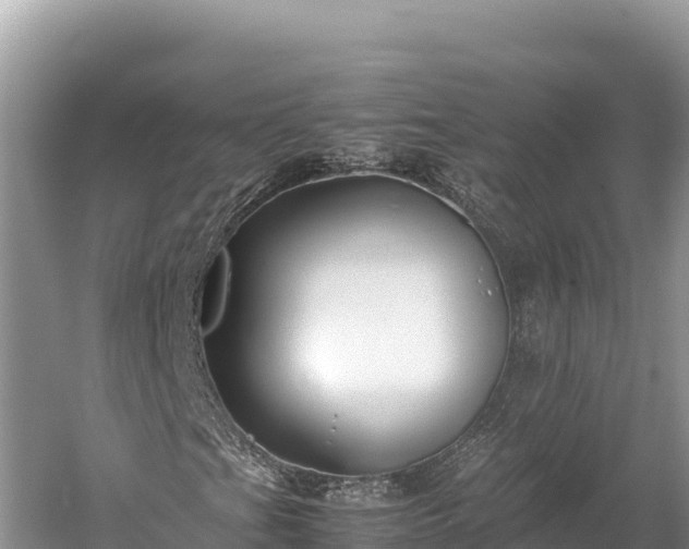 X0000060231201200510311538