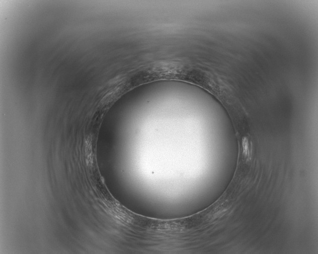 X0000060231203200510311538