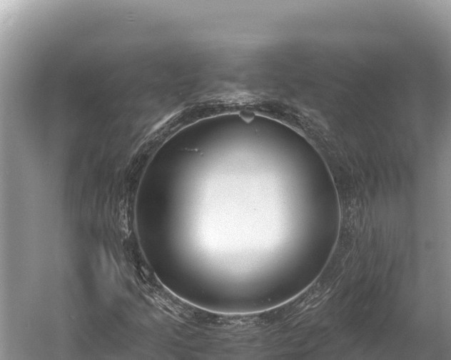 X0000060231205200510311538