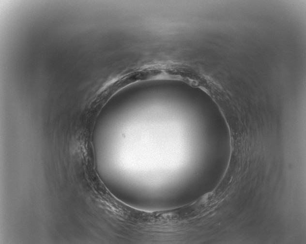 X0000060231206200510311538