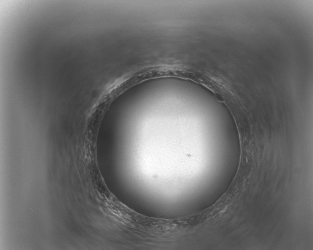 X0000060231207200510311538