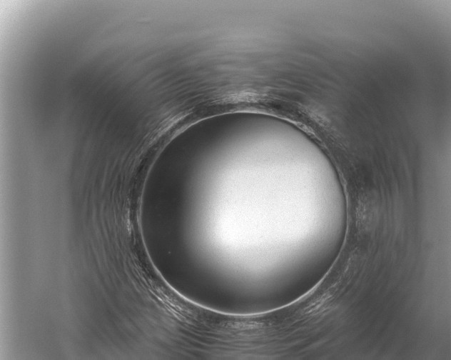 X0000060231209200510311538