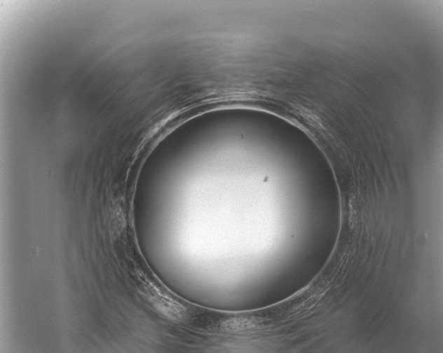 X0000060231212200510311539