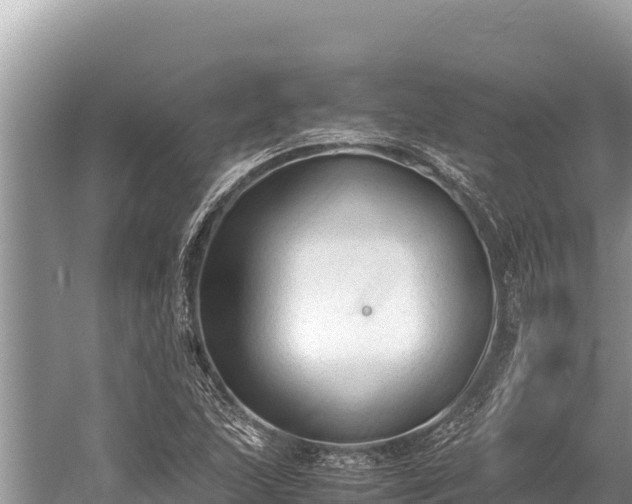 X0000060231215200510311539