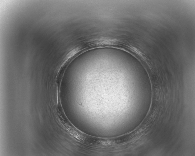 X0000060231219200510311539