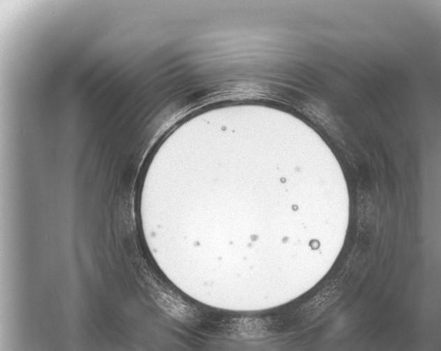 X0000060231226200510311539