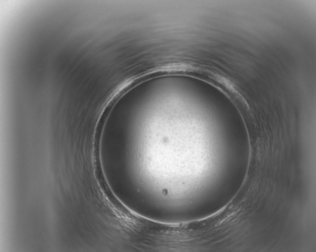 X0000060231229200510311539