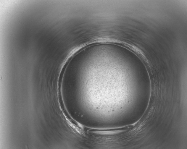 X0000060231231200510311539